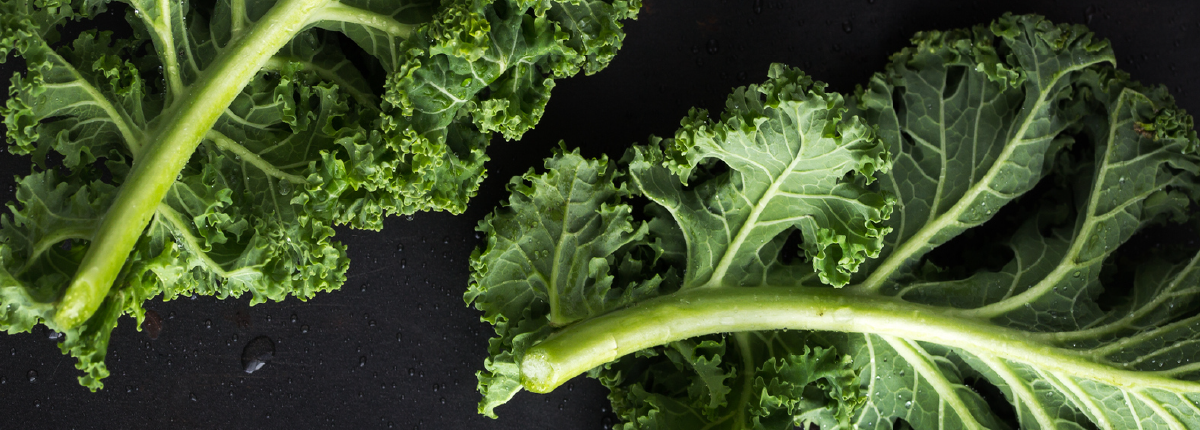 Veganuary Recipe: Lemon Butter Gnocchi with Crispy Kale