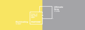 Palazzo Trend Report 2021| Pantone Colour of the Year 2021